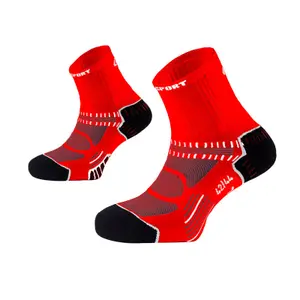 Chaussettes BV Sport Teamsocks image-0