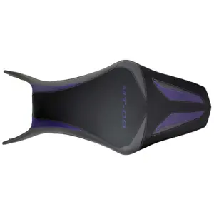 Motorrad-Sattelbezug Bagster mt 09