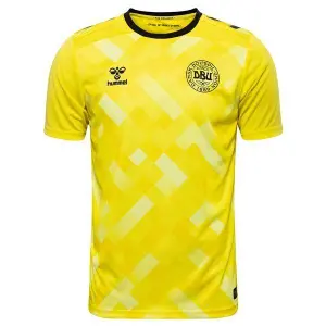 Koszulka bramkarza Danii 2024 image-0