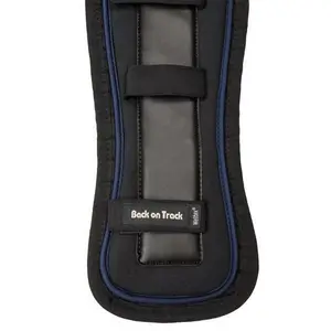 Selepude Back on Track galena image-0