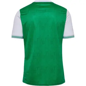 Thuiswedstrijd Shirt ASSE 2025/26 image-1