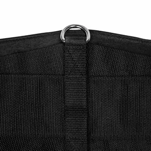 Anatomisk strop Back on Track western image-4