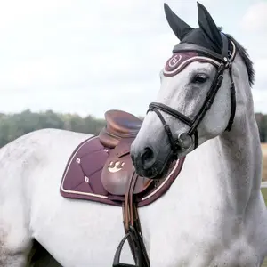 Dressurmatte Back on Track night collection image-3