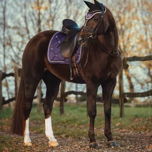 Cso-mattor Back on Track night collection image-1