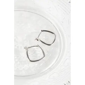 U-Shaped Hoop Earrings for Women 24 Colours image-1