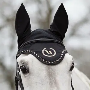 Cap Back on Track taye image-1