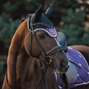 Fliegenhaube Back on Track night collection image-1