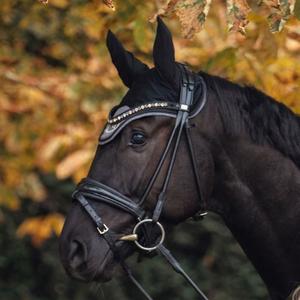 Bonnet Back on Track haze collection image-2