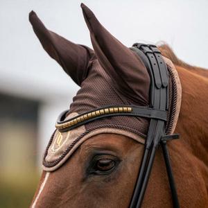 Fliegenhaube Back on Track haze collection image-1