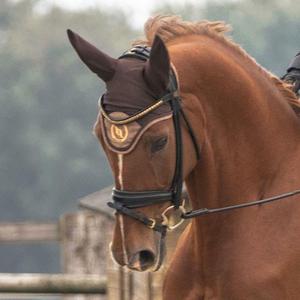 Fliegenhaube Back on Track haze collection image-3