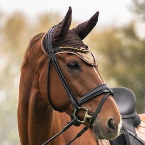 Fliegenhaube Back on Track haze collection image-2