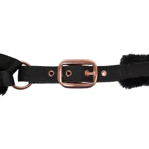 Cabezada para caballos Back on Track Haze image-1