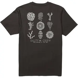 T-shirt Salty Crew Coral Head image-3