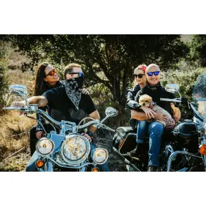 Bandana i bomull Zan Headgear paisley image-1