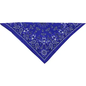 Bandana coton Zan Headgear paisley image-0