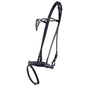 Riding bridle QHP Icelandic Frosti image-0