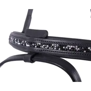 Riding bridle QHP Icelandic Frosti image-2