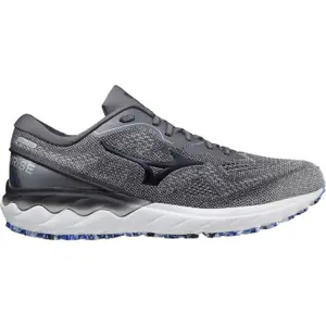 Běžecké boty Mizuno Wave Skyrise 2 image-0
