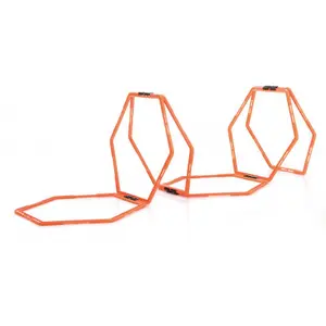 escala de formación Sveltus image-0