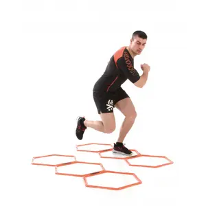 escala de formación Sveltus image-1