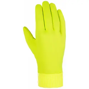 Síszárazó kesztyű Reusch Dryzone Glove image-0