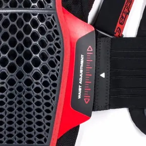 Motorcycle back protector Alpinestars nucleon KR-3 image-1