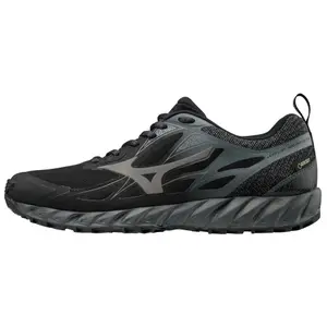 Chaussures de trail Mizuno Wave Ibuki GTX image-0