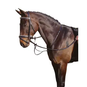 Ring-martingal Harry's Horse image-1