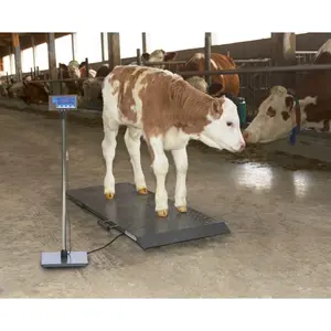 Scale for animals graduation Kerbl PS1000 image-2