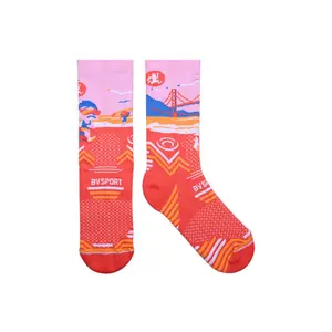 Chaussettes BV Sport Collector image-1