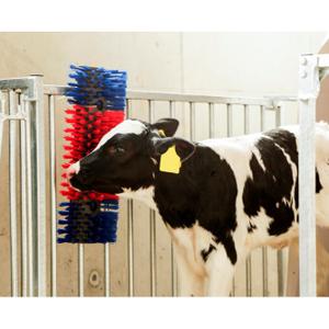 Wall brush Kerbl image-4