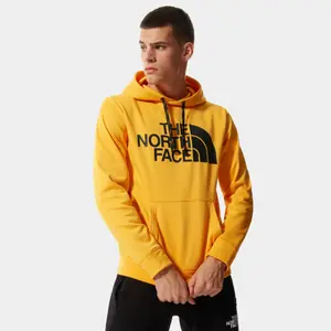 Kapuzenpullover The North Face Surgent Halfdome image-1