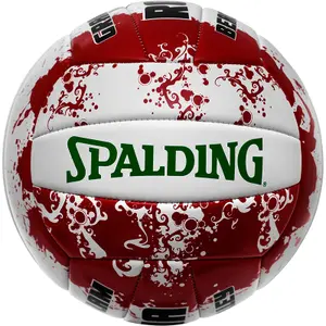 Ballon Spalding beach volley Rome image-1