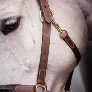 Leren halster voor paarden Paddock Sports image-1