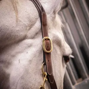 Leren halster voor paarden Paddock Sports image-2