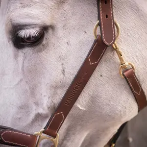Leren halster voor paarden Paddock Sports image-4