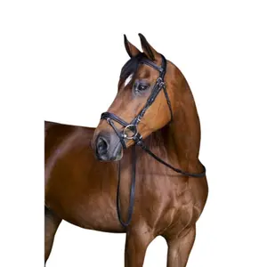 Bridons équitation pour cheval Eric Thomas Hybrid Forme image-0