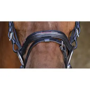 Bridons équitation pour cheval Eric Thomas Hybrid Forme image-3