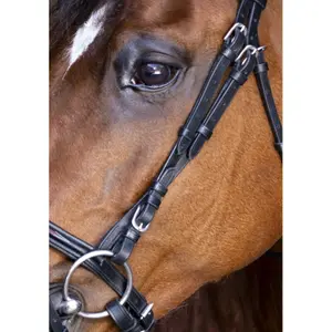 Bridons équitation pour cheval Eric Thomas Hybrid Forme image-2
