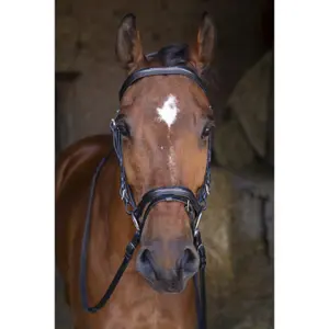 Bridons équitation pour cheval Eric Thomas Hybrid Forme image-1