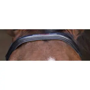 Bridons équitation pour cheval Eric Thomas Hybrid Forme image-4