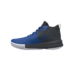 Basketbalschoenen voor kinderen Under Armour Lockdown 5 image-2