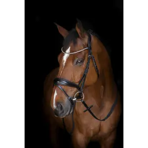 Sangleponey rubberen teugels kleine pukkels Eric Thomas Elite image-1