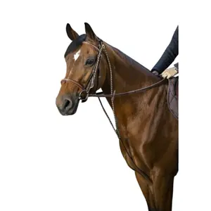 Chambon ERIC THOMAS PRO image-1