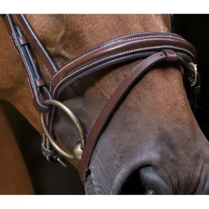 Bridons équitation pour cheval pur-sang Eric Thomas Pro Strass image-0