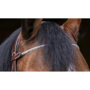 Bridons équitation pour cheval pur-sang Eric Thomas Pro Strass image-1