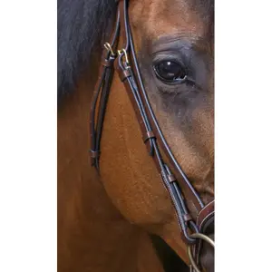 Bridons équitation pour cheval pur-sang Eric Thomas Pro Strass image-3