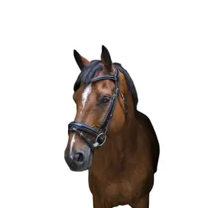 307702202-trans-for-fullblodshastar-eric-thomas-pro-design-svart-fullblod