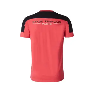 T-shirt Stade Français 2020/21 algardi image-1