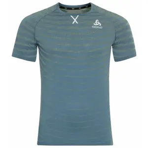 Camiseta Odlo Blackcomb Pro image-0